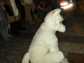 DSCF2814.JPG